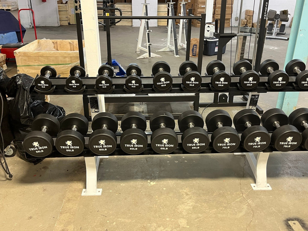 True Iron 5100 Urethane dumbbells sets True Iron Fitness