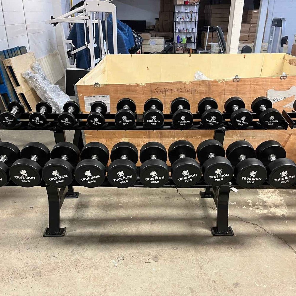 True Iron Pro Style 5-125 Urethane dumbbells set
