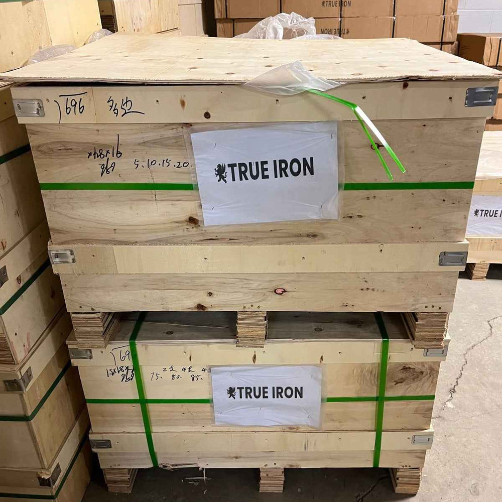 True Iron 5-100 12 Sided Urethane Dumbbell Sets