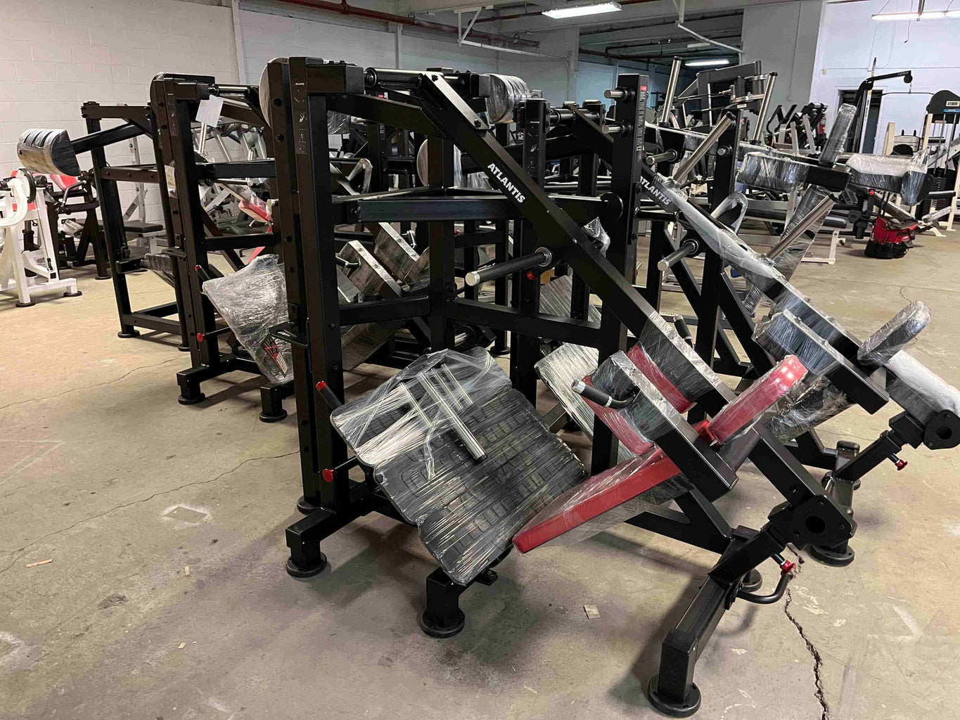 atlantis strength fitness equipment - true iron fitness