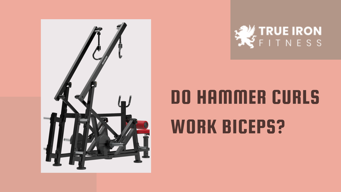 Do Hammer Curls Work Biceps?