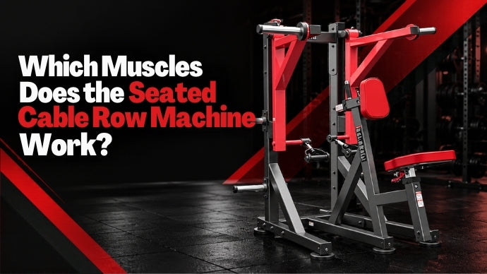 Which Muscles Does the Seated Cable Row Machine Work?