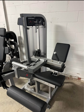 Hammer Strength select leg curl