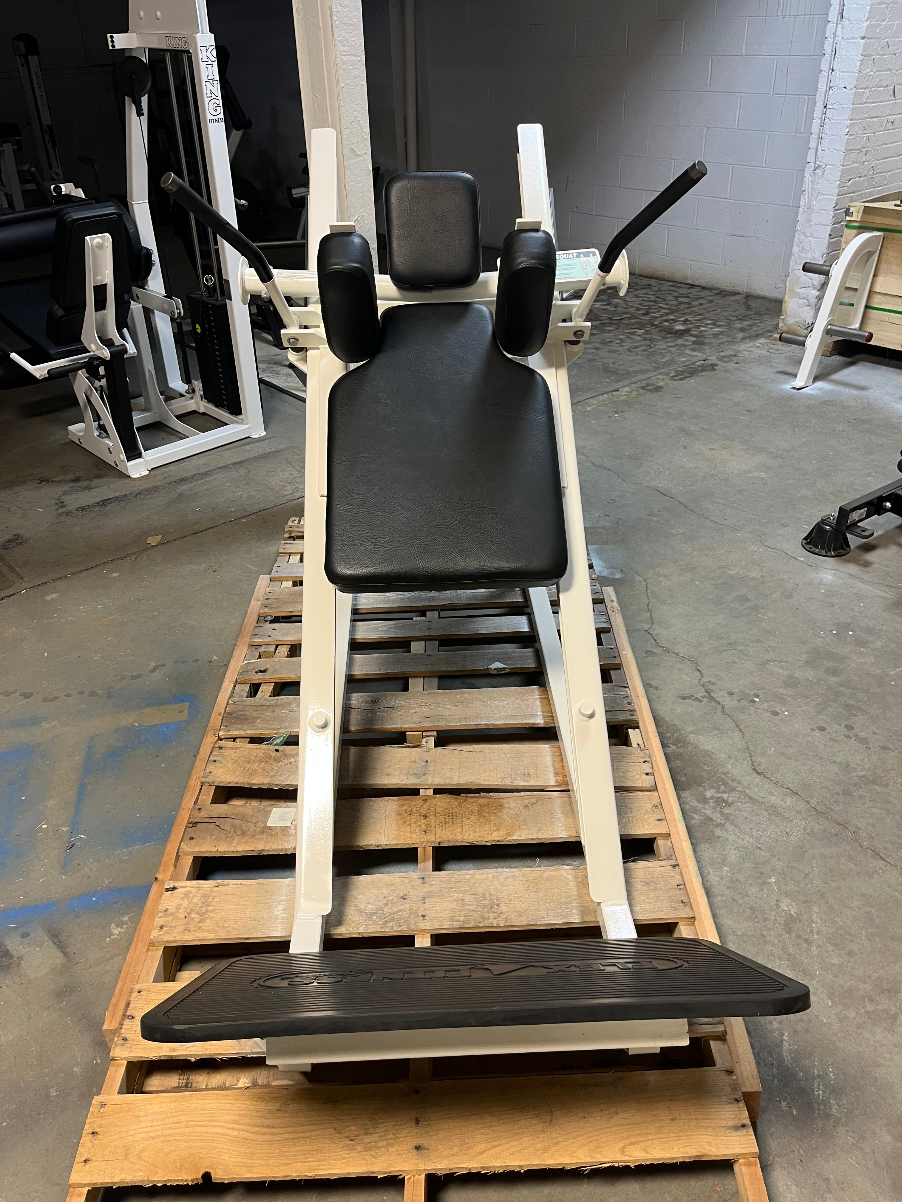 FLEX Fitness Hack Squat - True Iron Fitness