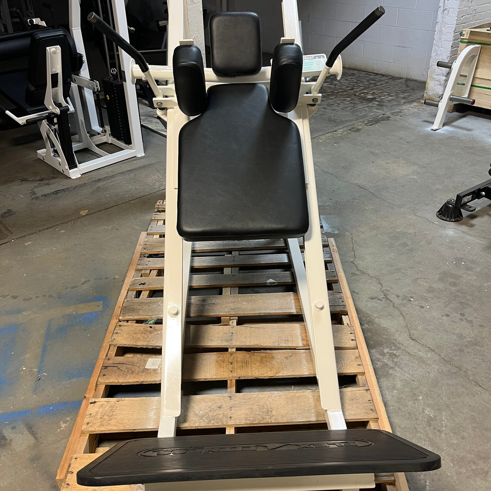 FLEX Fitness Hack Squat