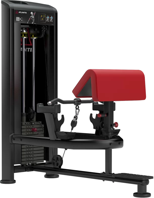 Atlantis Strength Standing Bicep Curl MODEL B257