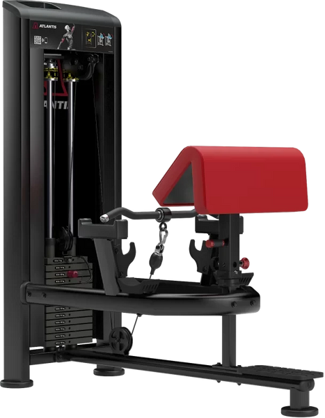 Atlantis Strength Standing Bicep Curl MODEL B257