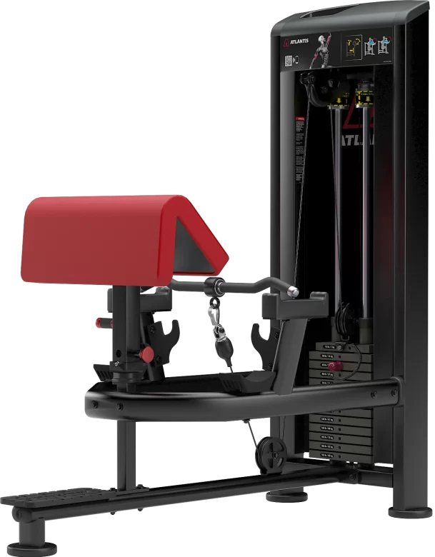 Atlantis Strength Standing Bicep Curl MODEL B257