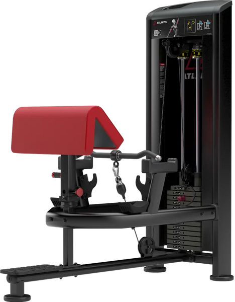 Atlantis Strength Standing Bicep Curl MODEL B257