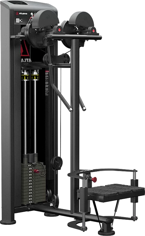 Atlantis Strength Standing lateral raise MODEL E252