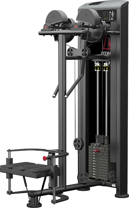 Atlantis Strength Standing Lateral Raise E252 - True Iron Fitness