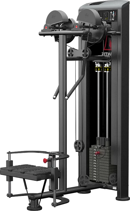 Atlantis Strength Standing lateral raise MODEL E252