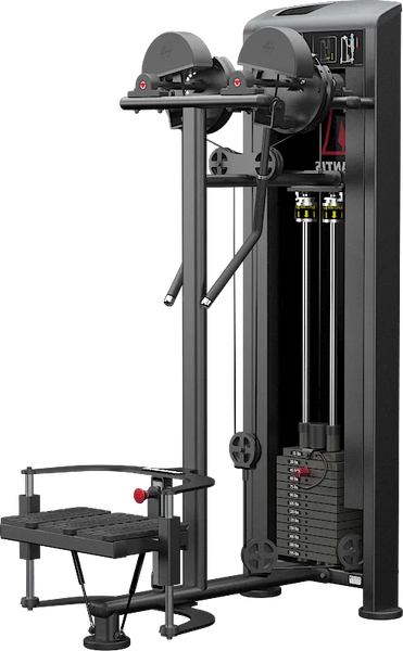 Atlantis Strength Standing lateral raise MODEL E252